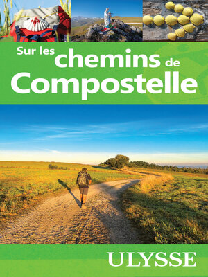 cover image of Sur les chemins de Compostelle
